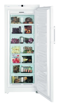 Congélateur armoire LIEBHERR GN3613 304 litr...