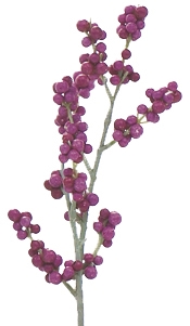 Branche à baies lilas ASA HOME   