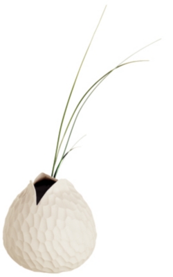 Vase Carve ASA HOME   