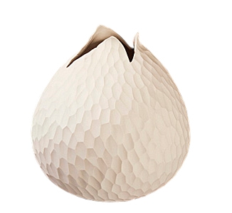 Vase Carve ASA HOME   