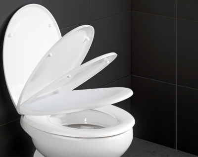 Abattant WC WENKO  Ottana   