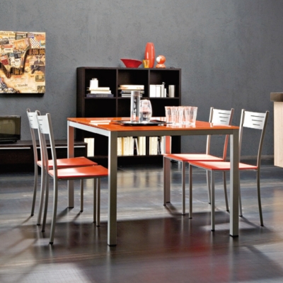Lot de 2 chaises Riga