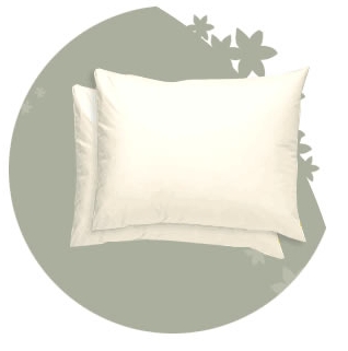 Lot de 2 oreillers Komfor OEKOSOM, gonflants