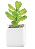 Plante artificielle avec cache-pot ASA H OME 