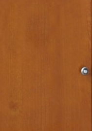 Porte pleine hauteur 84 cm pour  bibliothèqu...
