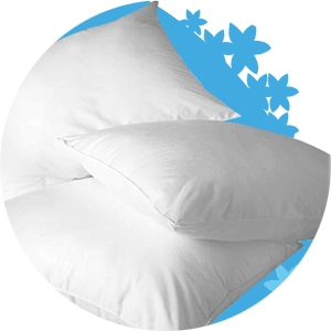 Oreiller Feeling Confort Absolu REVANCE,  pla...