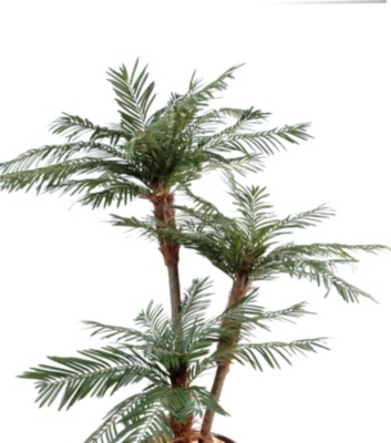 Palmier 3 troncs new TF  hauteur 160 cm 
